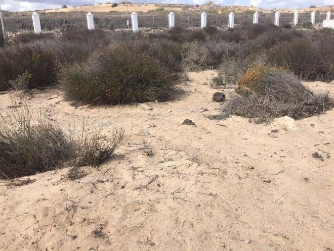 Property Blue Lagoon, Langebaan - For Sale